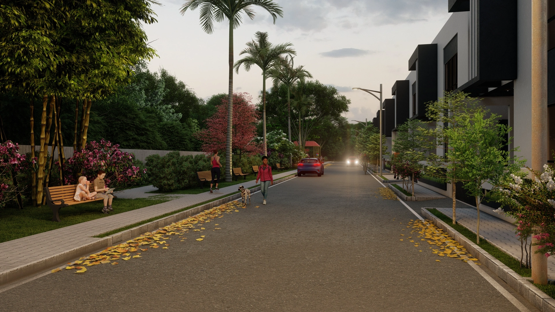 Gallery image 11